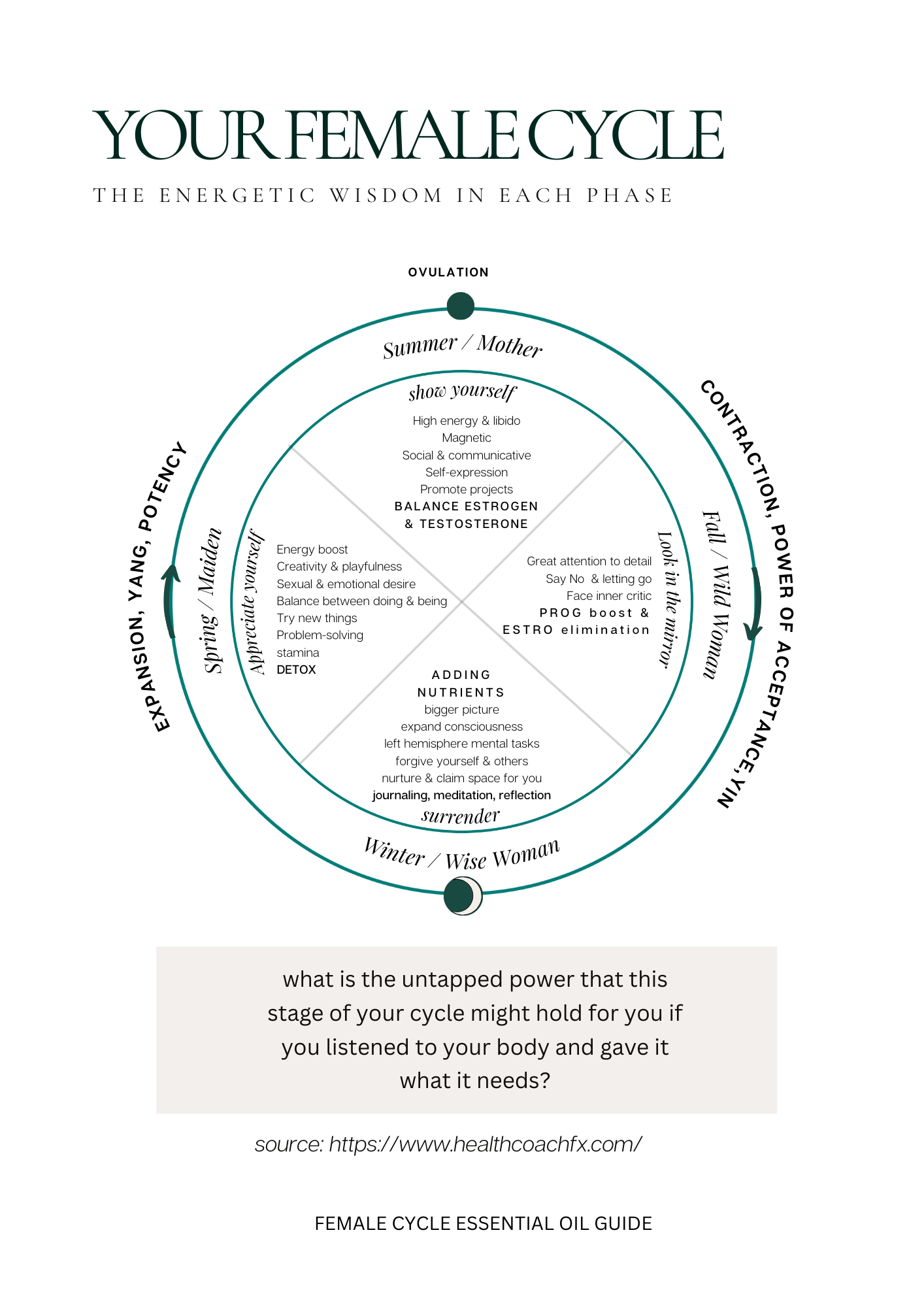 Female Cycle & Essential Oils Guide - Image 2
